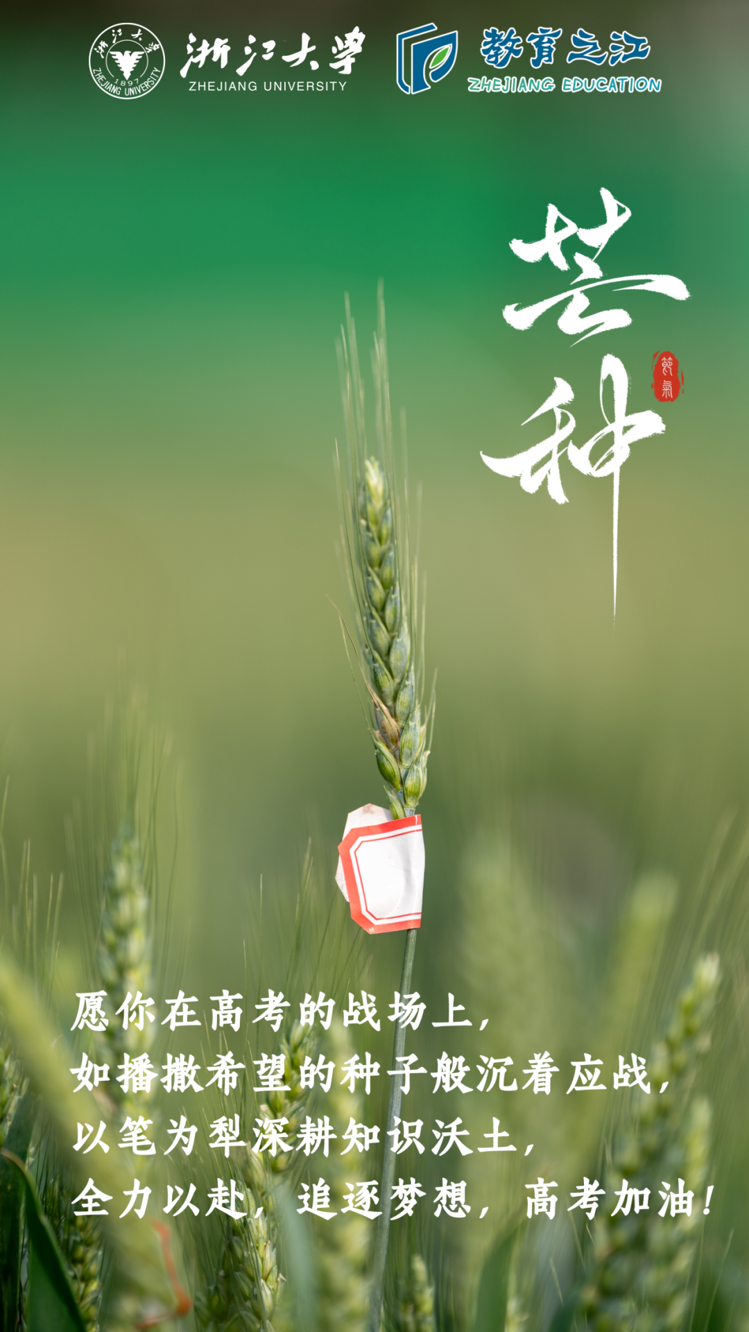 06ab2465-badc-4a32-a439-0116fc87901c.png